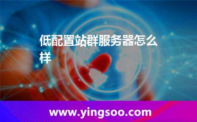 低配置站群服务器怎么样