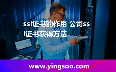 ssl证书的作用 公司ssl证书获得方法