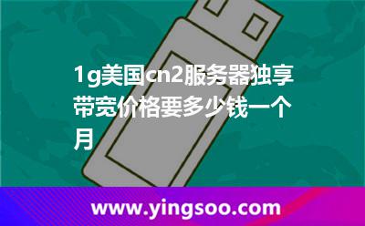 1g美国cn2服务器独享带宽价格要多少钱一个月?