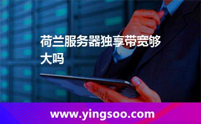 荷兰服务器独享带宽够大吗