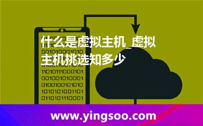 虚拟主机一台