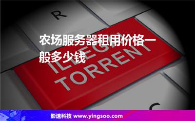 农场服务器