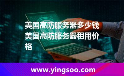 美国高防服务器多少钱，美国高防服务器租用价格