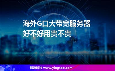 海外G口大带宽服务器好不好用贵不贵