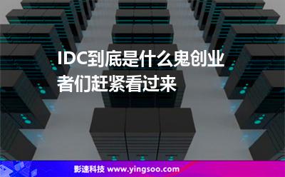 IDC到底是什么鬼创业者们赶紧看过来