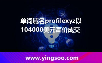 单词域名profile.xyz以104,000美元高价成交