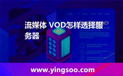 流媒体 VOD怎样选择服务器