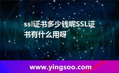ssl证书多少钱呢SSL证书有什么用呀