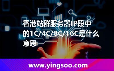 香港站群服务器IP段中的1C/4C/8C/16C是什么意思