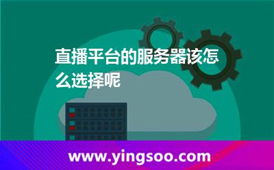 直播平台的服务器该怎么选择呢