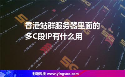 香港站群服务器里面的多C段IP有什么用
