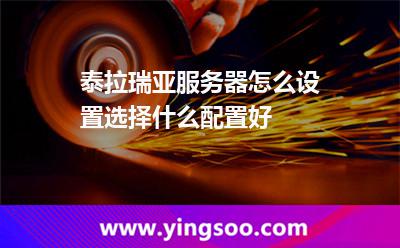 泰拉瑞亚服务器怎么设置，选择什么配置好