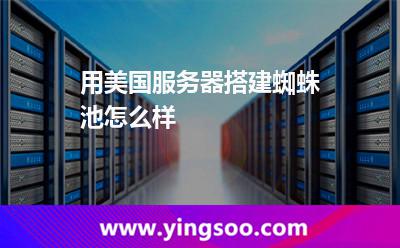 用美国服务器搭建蜘蛛池怎么样