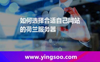 如何选择合适自己网站的荷兰服务器