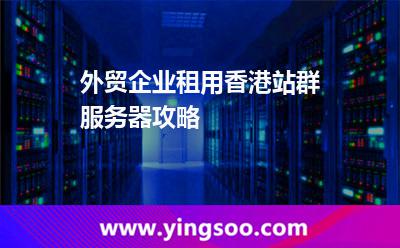 外贸企业租用香港站群服务器攻略