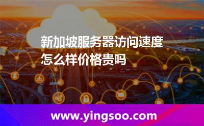 新加坡服务器访问速度怎么样，价格贵吗