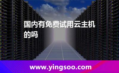 国内有免费试用云主机的吗