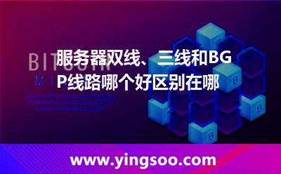 服务器双线、三线和BGP线路哪个好区别在哪