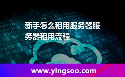 新手怎么租用服务器服务器租用流程