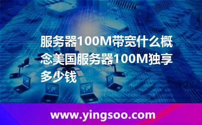 服务器100M带宽什么概念美国服务器100M独享多少钱