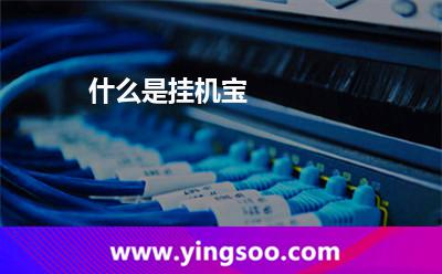 什么是挂机宝?