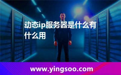 动态ip服务器是什么，有什么用
