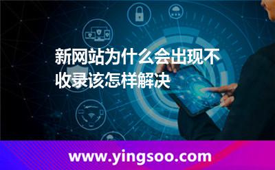 网站服务器
