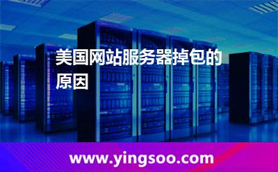 美国网站服务器掉包的原因