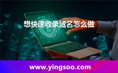 想快速收录域名怎么做?