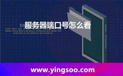 服务器端口号怎么看