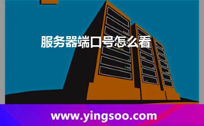 服务器端口号怎么看