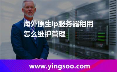 海外原生ip服务器租用怎么维护管理