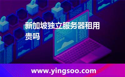 新加坡独立服务器租用贵吗