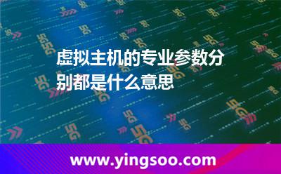 虚拟主机的专业参数，分别都是什么意思