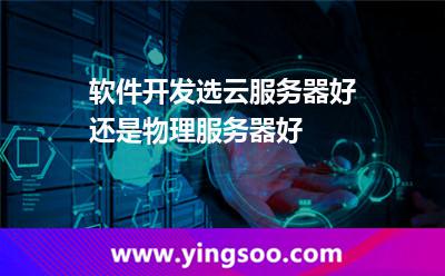 软件开发选云服务器好还是物理服务器好